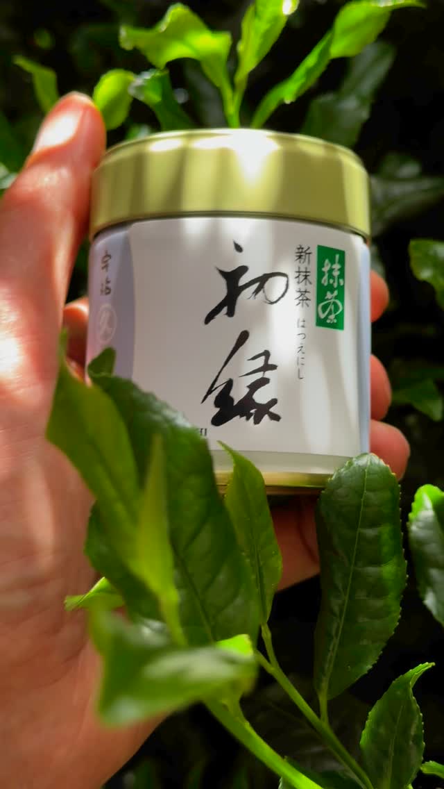 Shin/New Matcha Experience