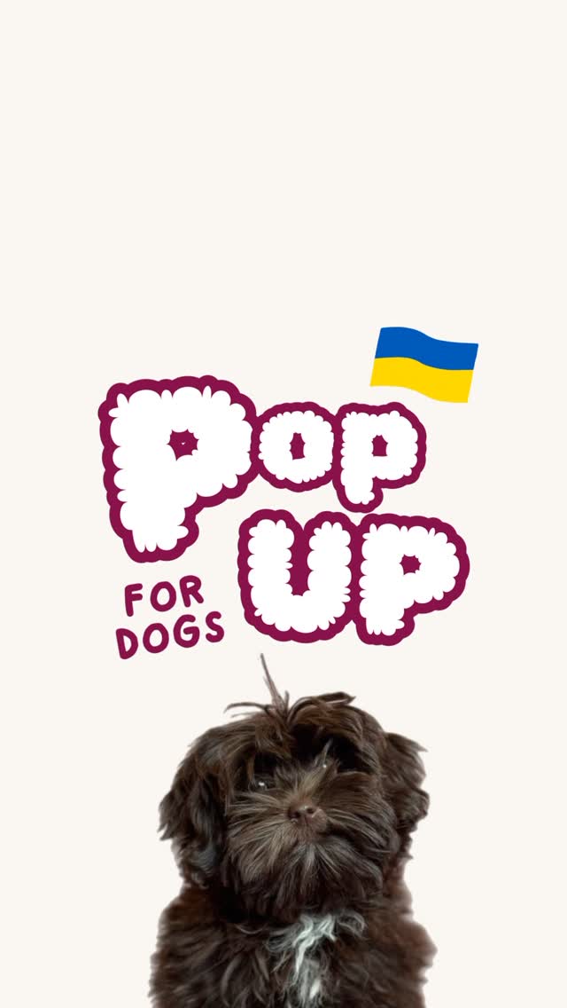 POP-UP українських брендів для собань