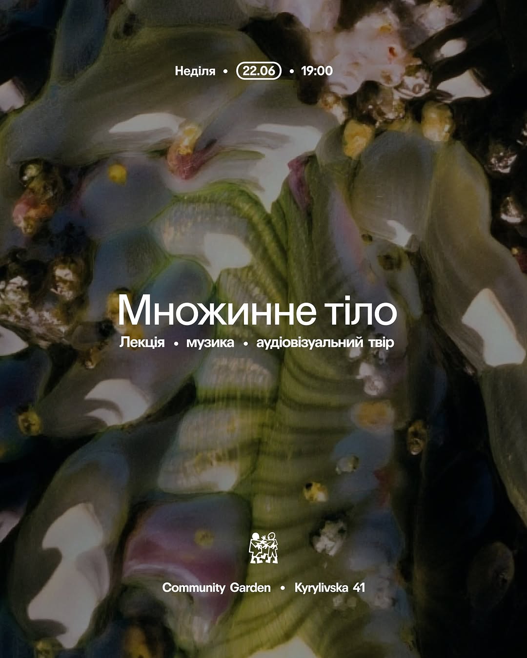 Множинне тіло