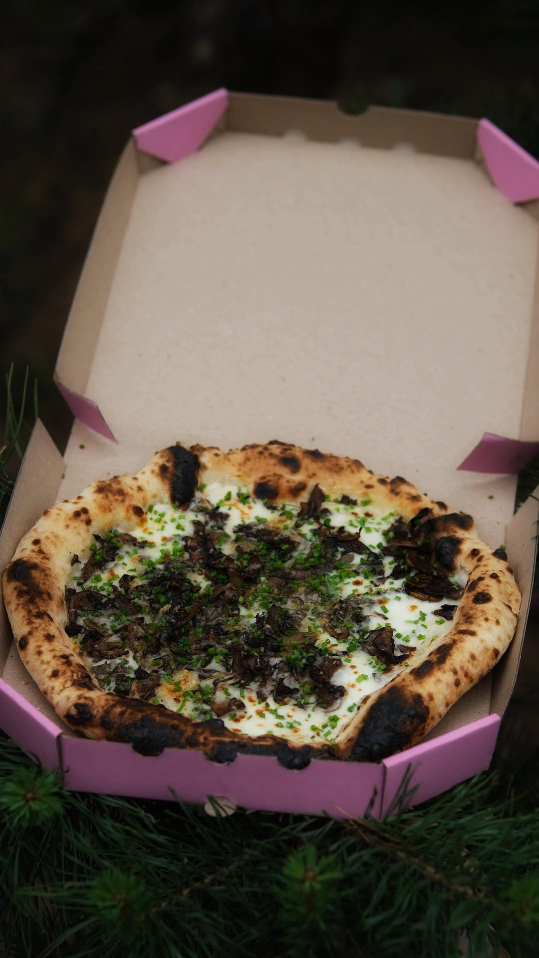 Попап з піцою від T.C.Pizza