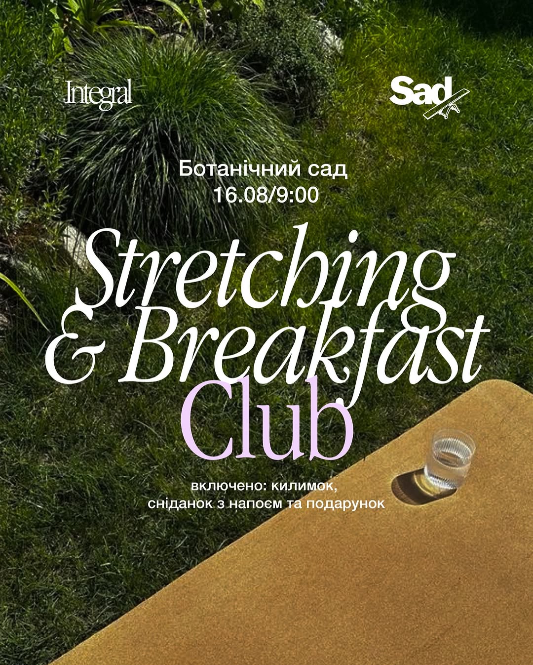 Stretch & Strength
