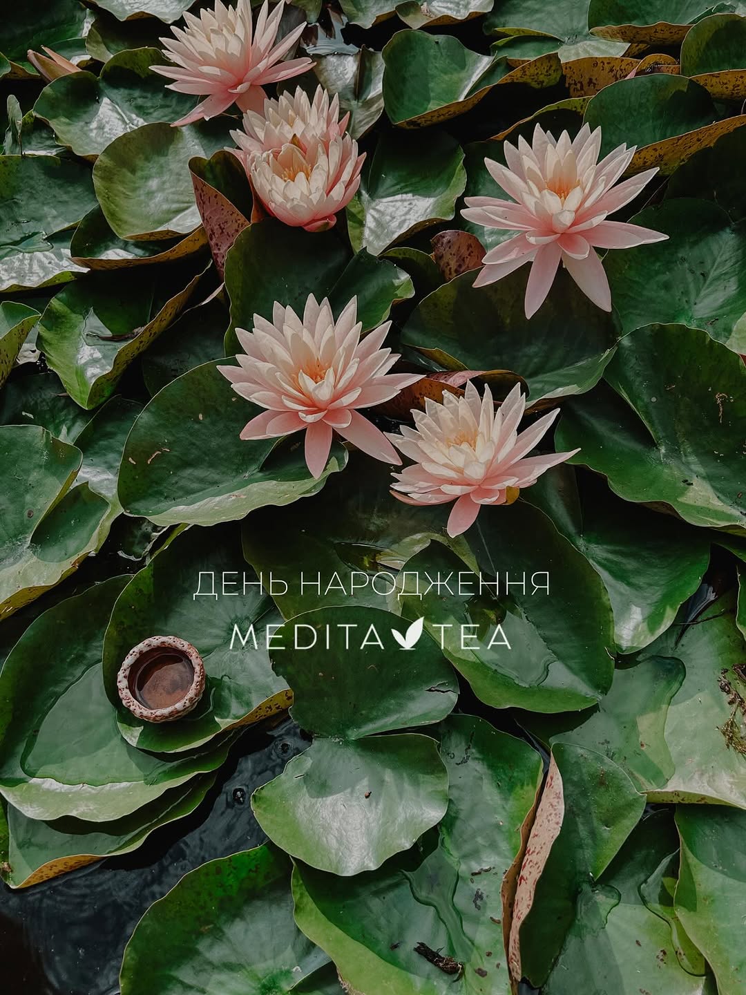День народження Meditatea