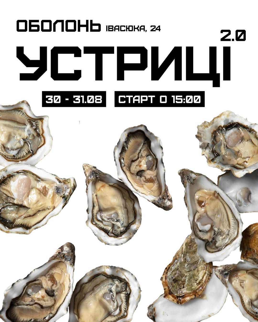 Попап з устрицями