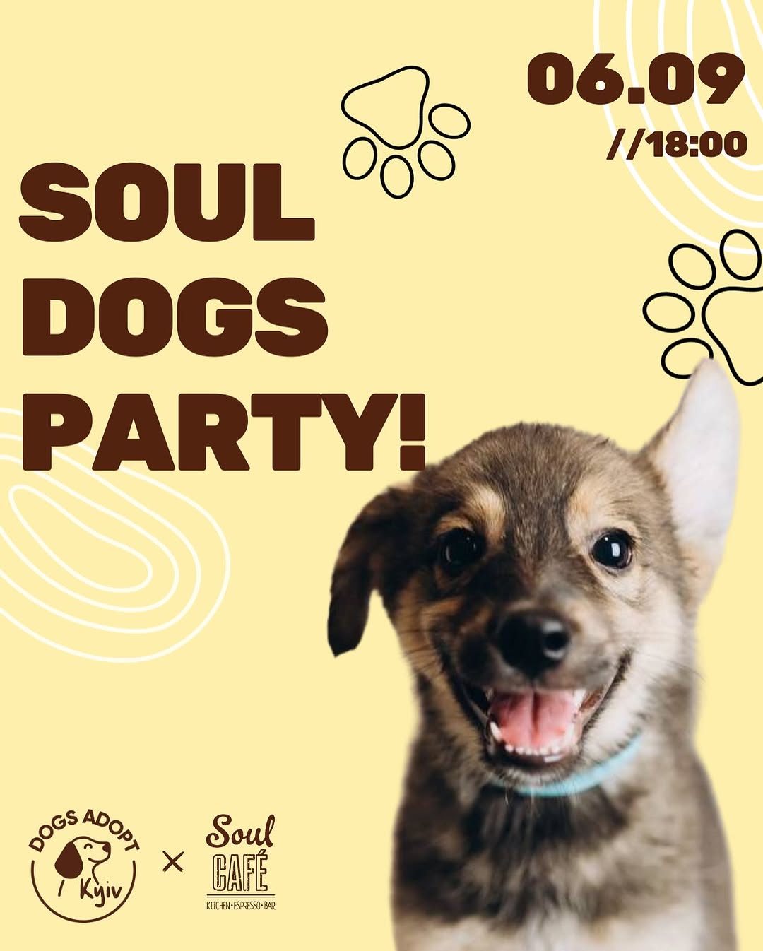 Dogs Party