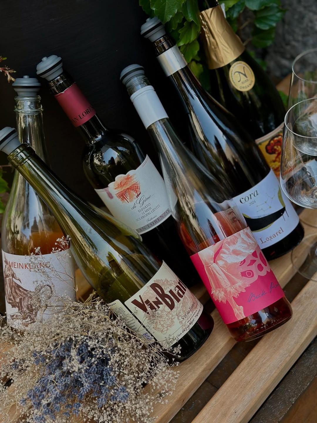 Дегустація вина