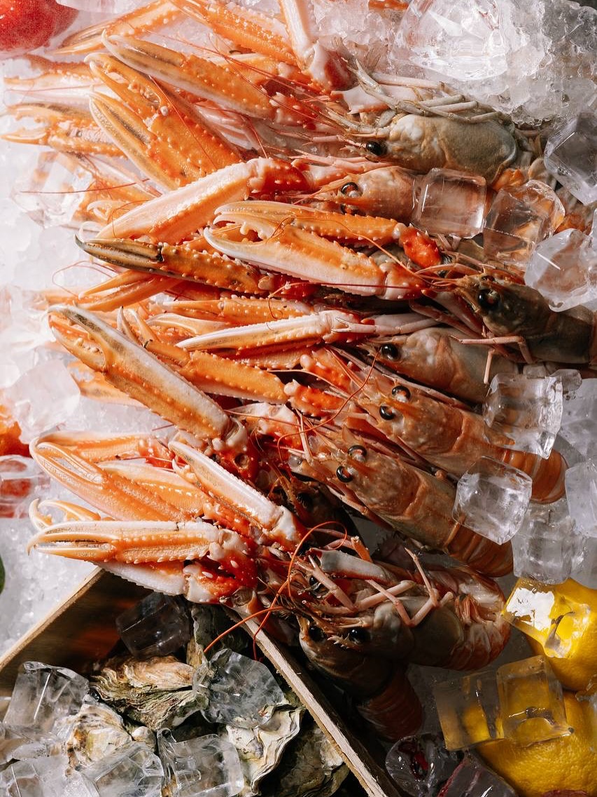 Scampi Brunch