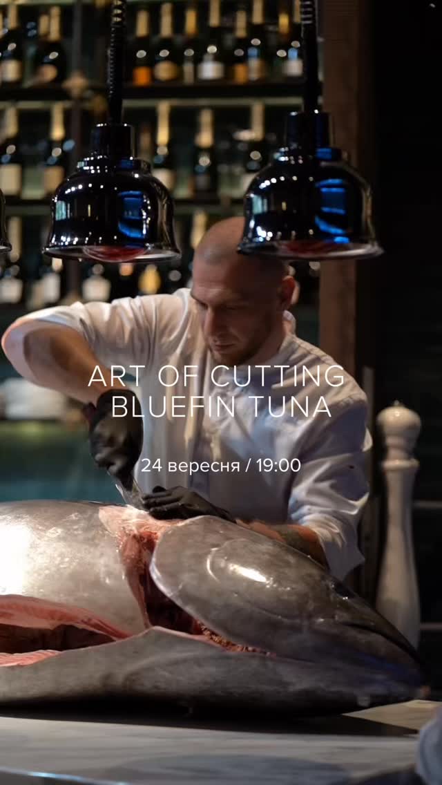 ART OF CUTTING