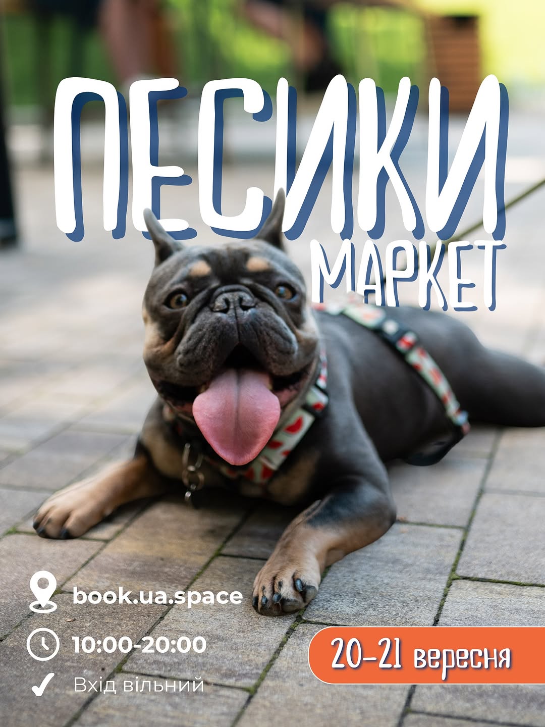Песики Маркет