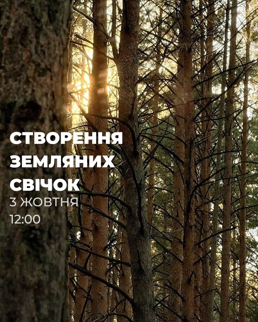 МК з виготовлення земляних свічок