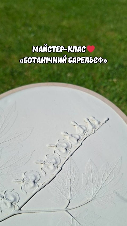МК «Ботанічний барельєф»
