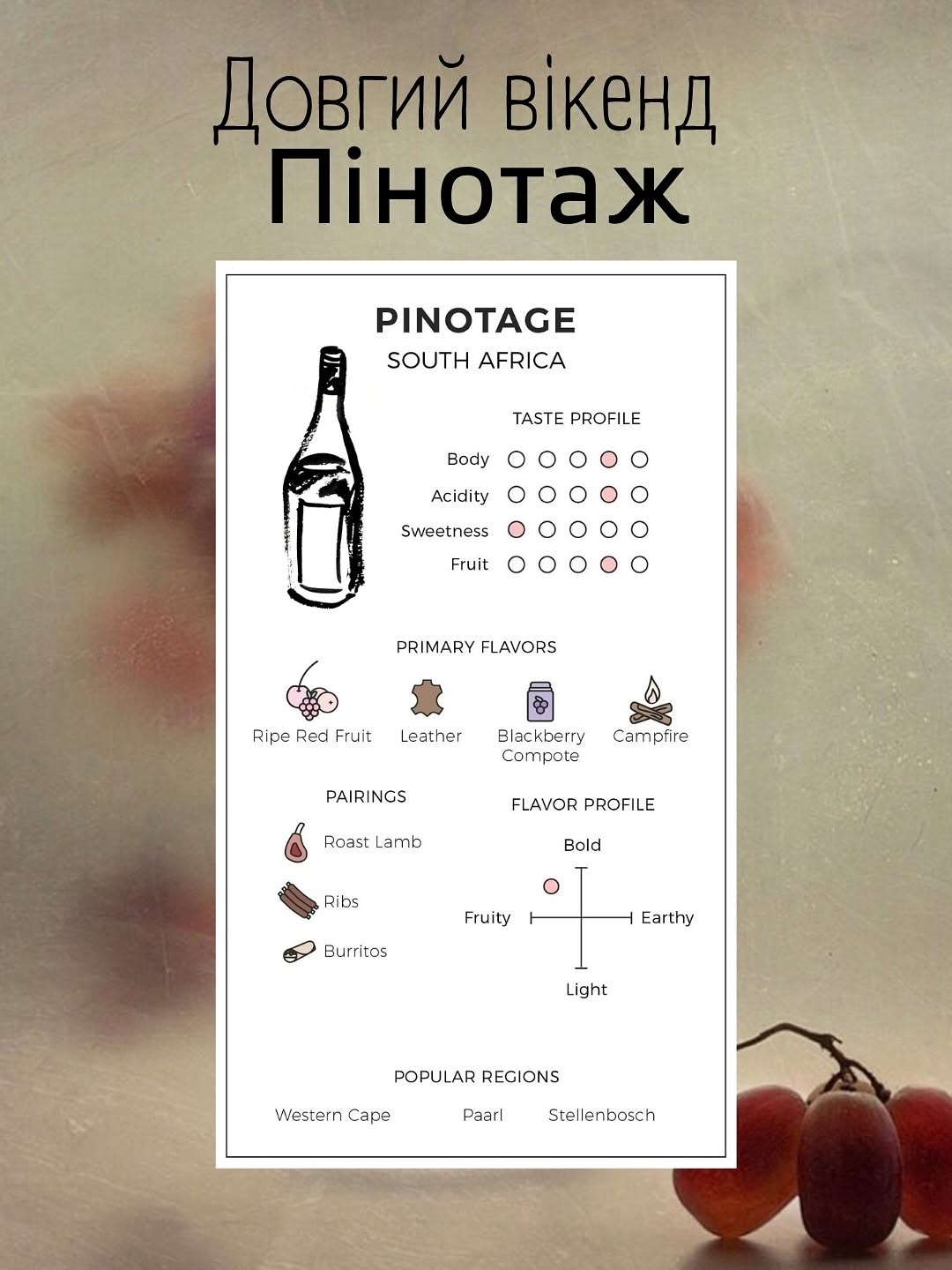 Святкування Міжнародного дня Пінотажу