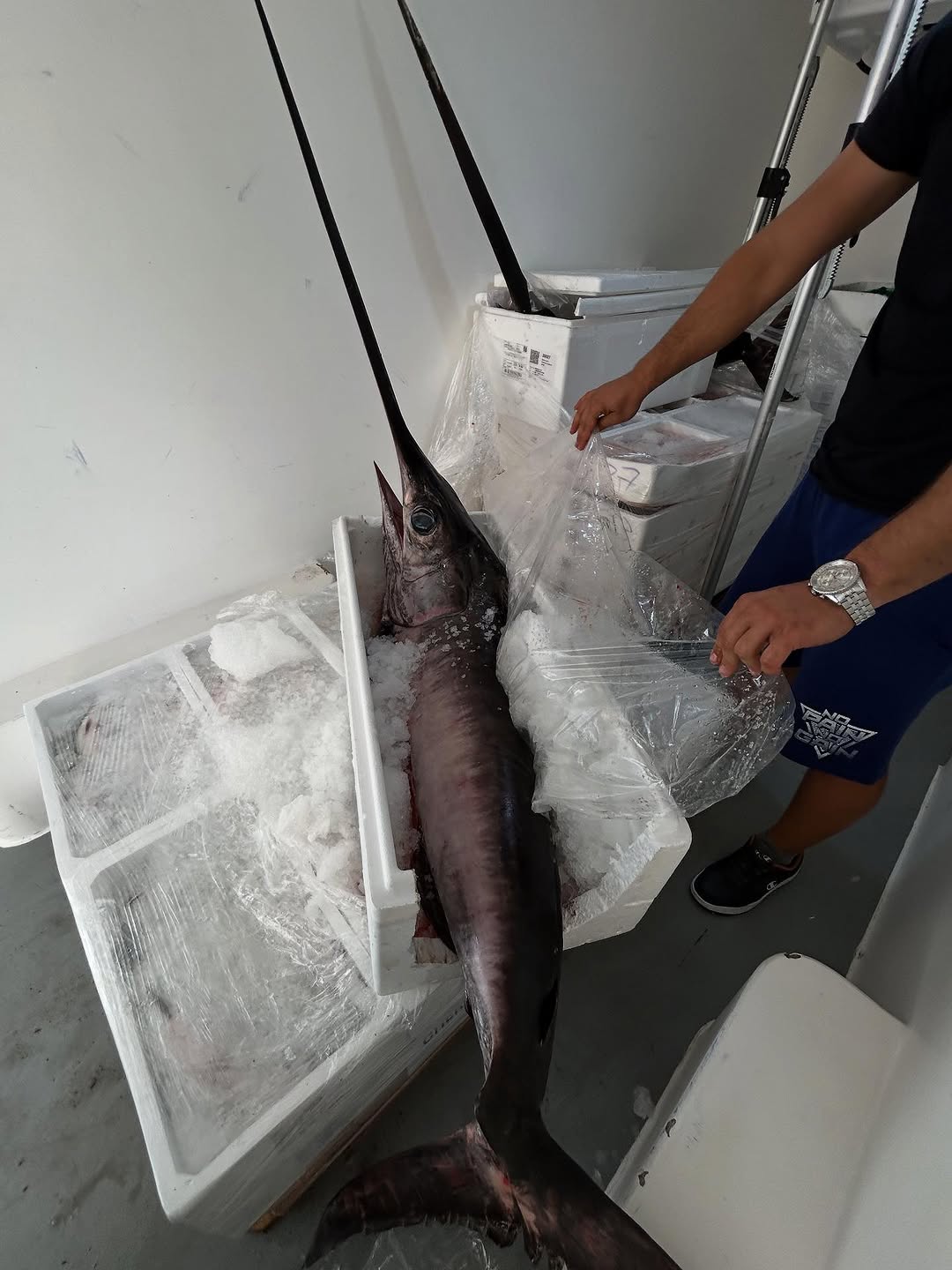 Обробка риби-меч