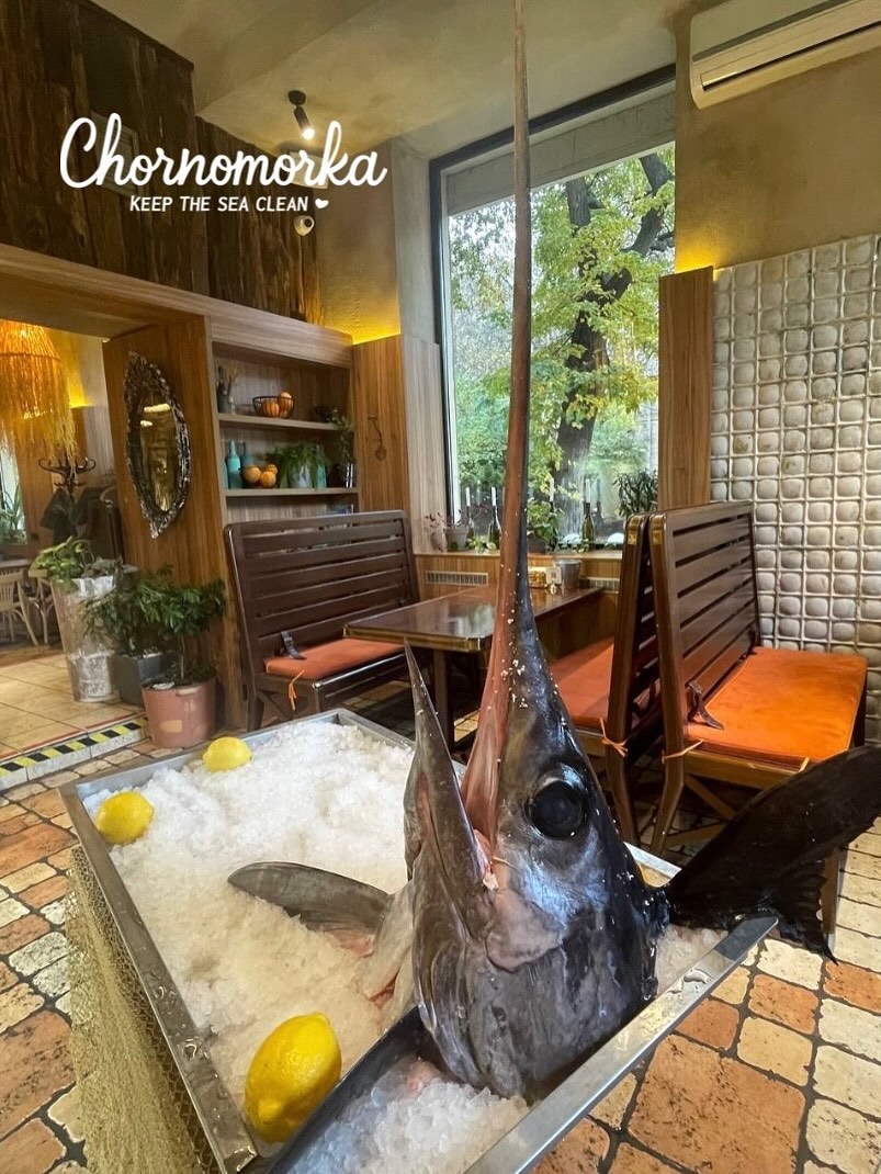 Юшка з риби-меч