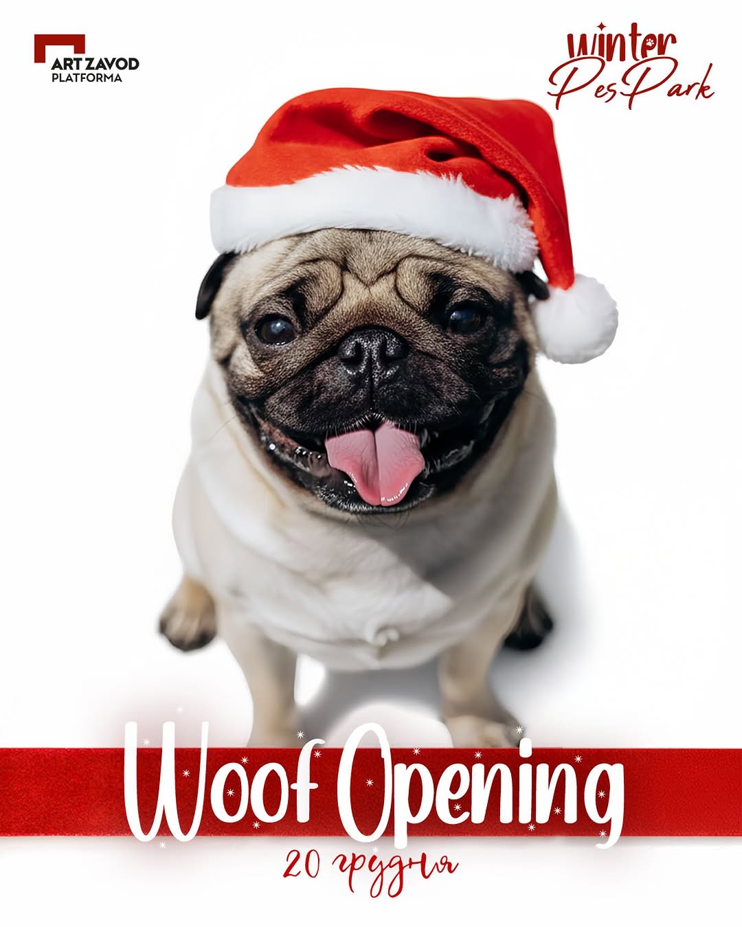 Відкриття Winter PesPark