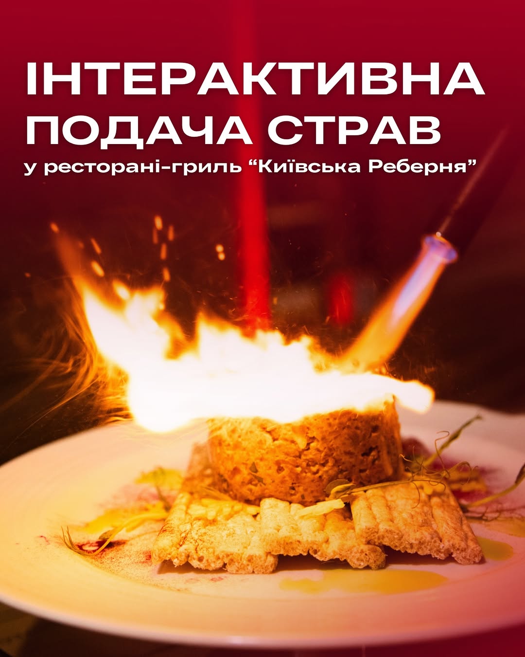 Гастрономічне шоу