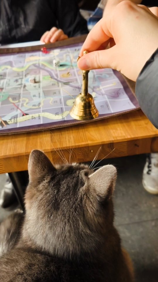 Гра життя Ліла