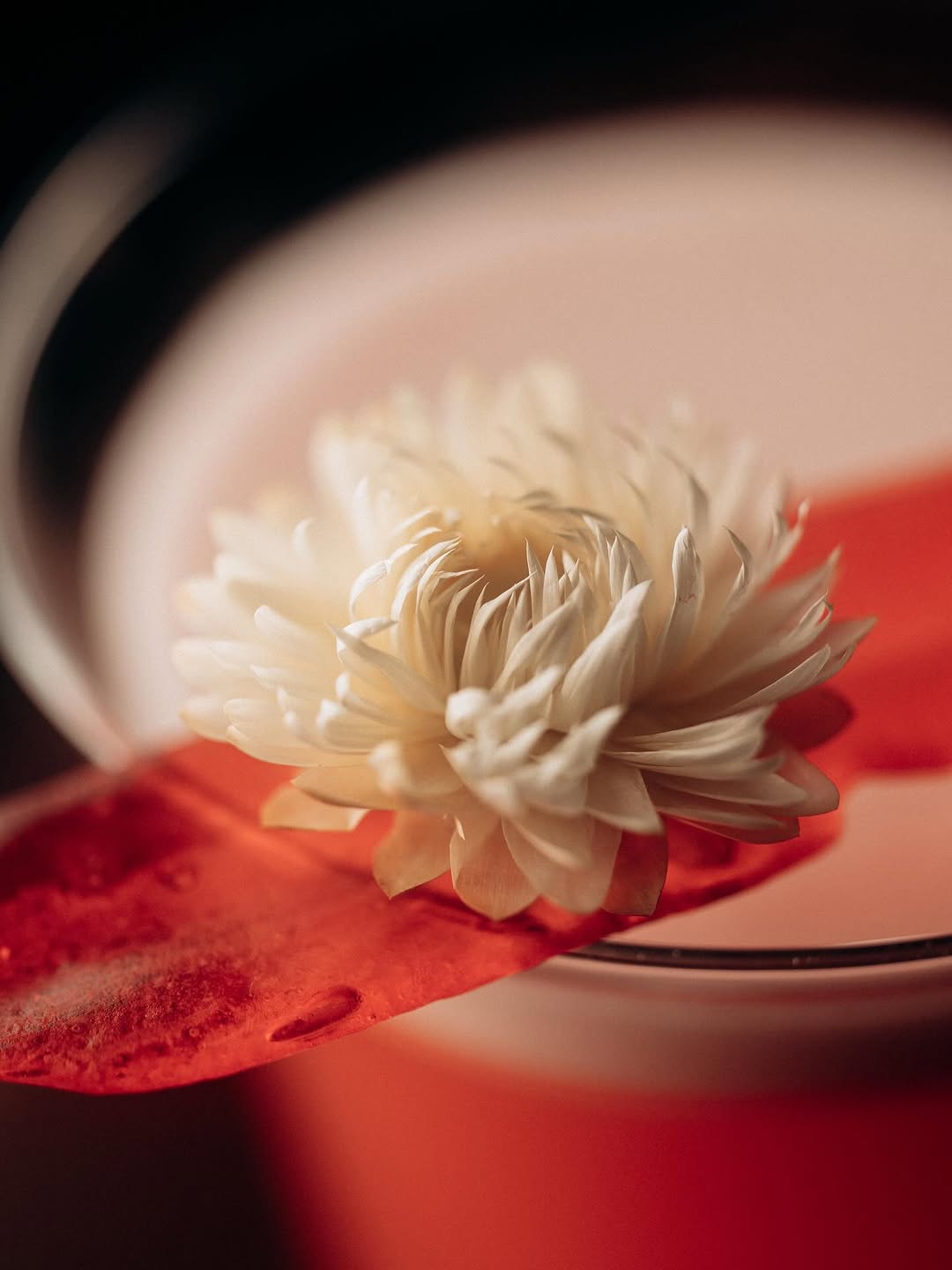 Коктейльний вечір